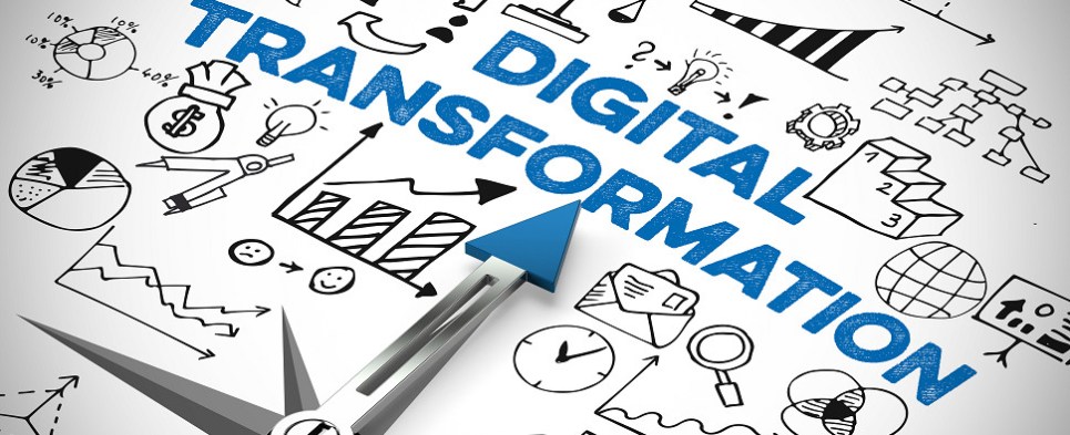 Digital transformation can help companies with shipments of export cargo and import cargo in international trade.