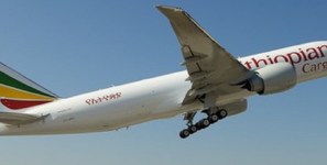 Ethiopian Airlines is carrying shipments of export cargo and import cargo in international trade to Miami.