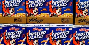 Kellogg's acquisition of Egyptian company is part of strategy of expansion in Africa, with the expected result of higher volumes of export cargo and import cargo in international trade.