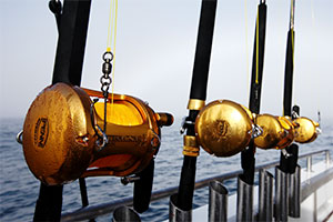 ANGLING INTERNATIONAL When Penn launches an addition to its iconic golden reel lineup, brand managers know their buyers will bite if they can test the product.